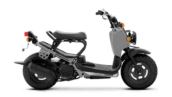 Ruckus 2024 scooter